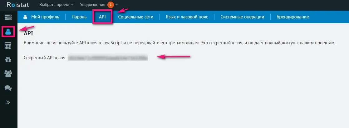 Интеграция с Roistat_1